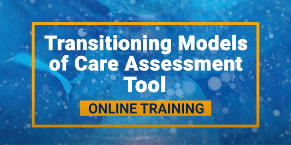 Transitioning Models of Care Assessment Tool