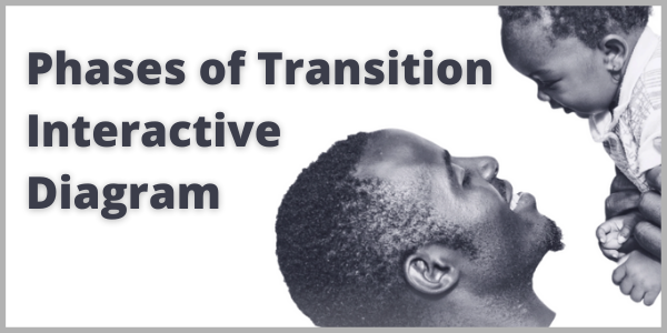 Phases of Transition Interactive Diagram